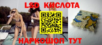 мяу мяу мука Кулебаки