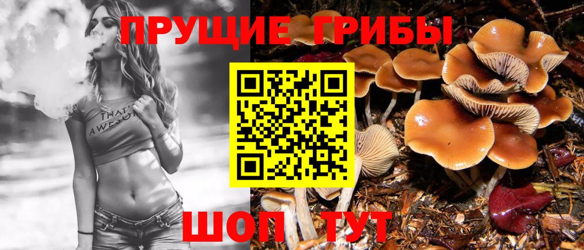 Псилоцибиновые грибы ЛСД Киселёвск